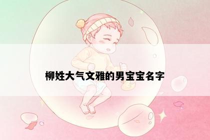 柳姓大气文雅的男宝宝名字