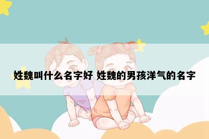 姓魏叫什么名字好 姓魏的男孩洋气的名字