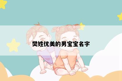 樊姓优美的男宝宝名字