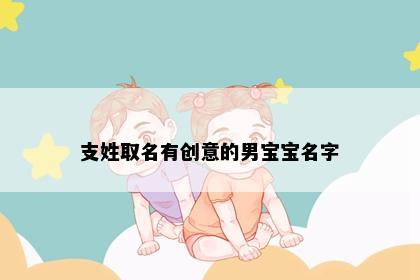 支姓取名有创意的男宝宝名字